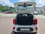 Kia Picanto — fotografie 10